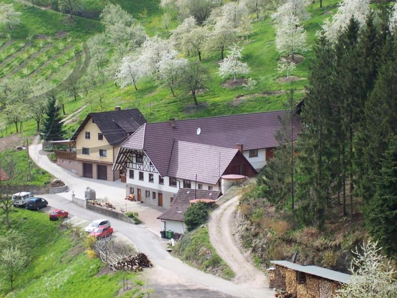 Ferienwohnung Schneckenhus Lautenbach Zewnętrze zdjęcie