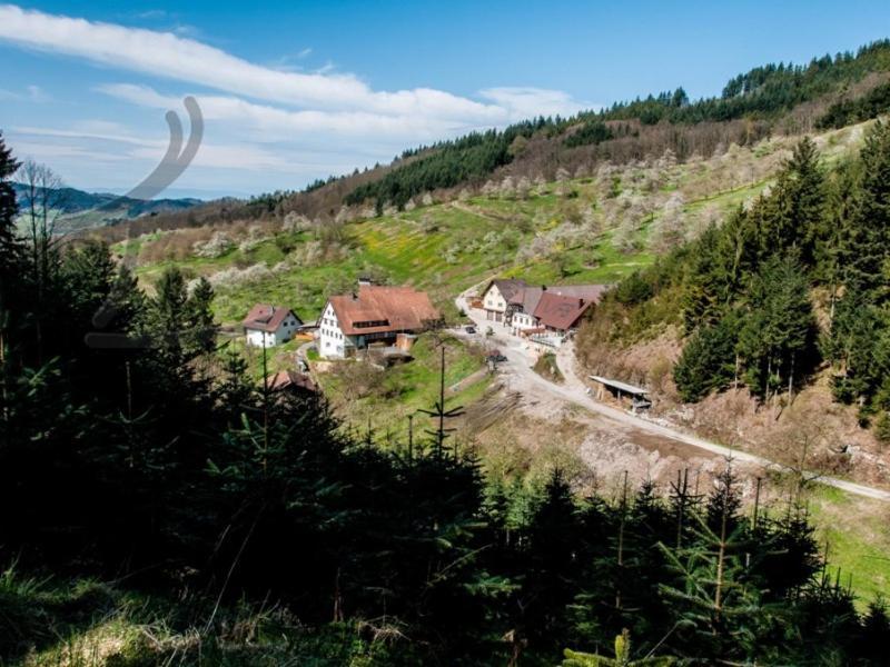Ferienwohnung Schneckenhus Lautenbach Zewnętrze zdjęcie