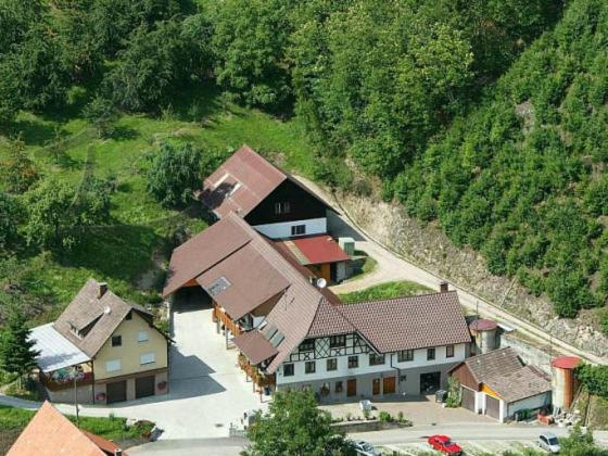 Ferienwohnung Schneckenhus Lautenbach Zewnętrze zdjęcie