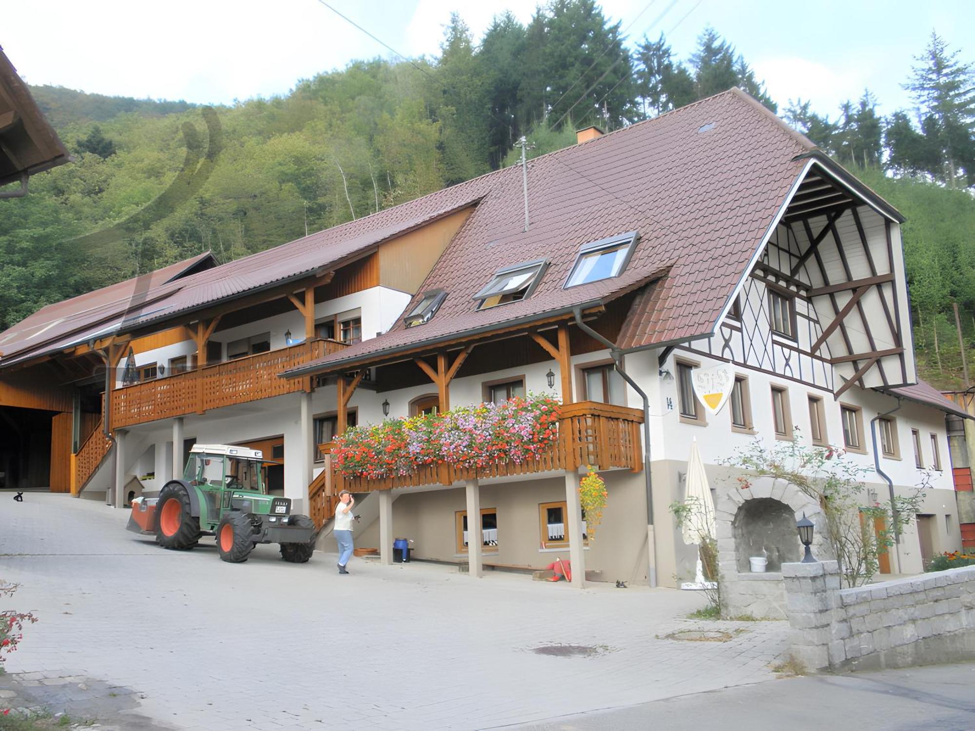 Ferienwohnung Schneckenhus Lautenbach Zewnętrze zdjęcie
